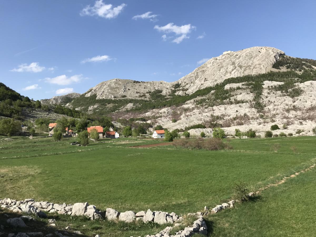 Lovcen Holiday Home Τσέτινιε Εξωτερικό φωτογραφία